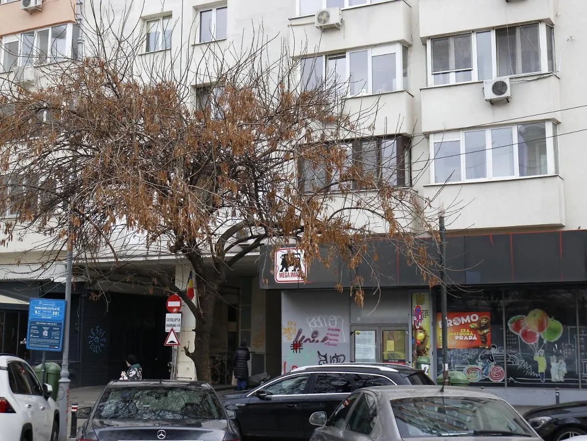 Mina City Center Apartment Amzei Bucureşti